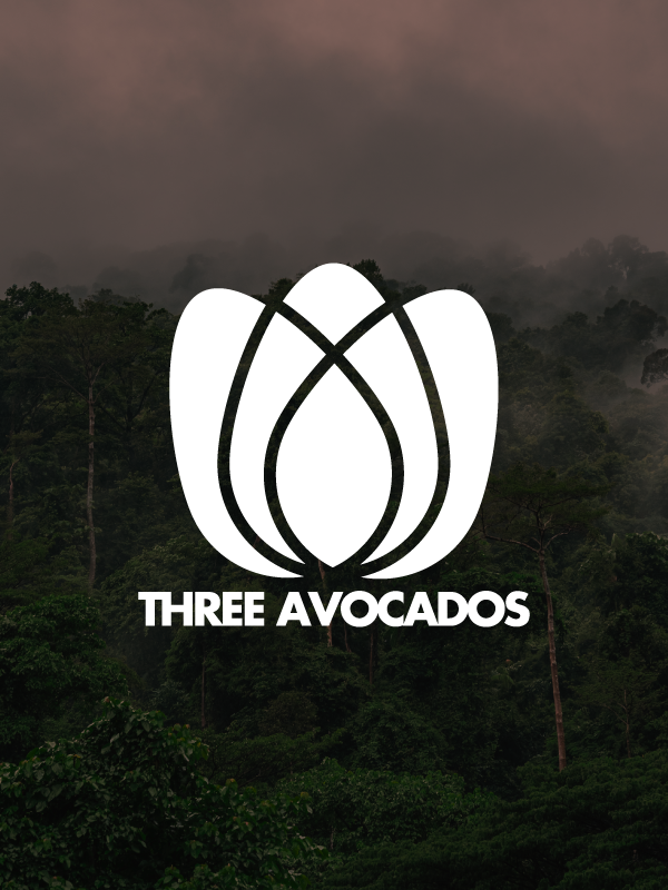 Three Avocados — nonprofit branding