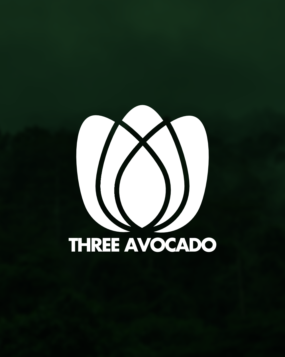 Three Avocados